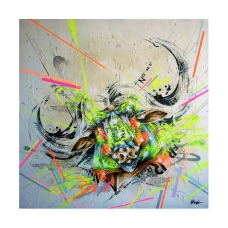 Taka Sudo 'Confront' Canvas Art,35x35